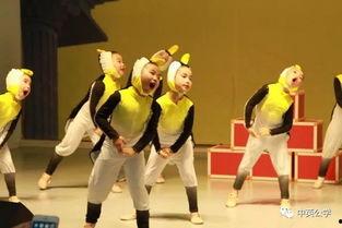 成人演奏奥尔夫音乐视频,成人演绎经典旋律