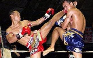 成人拳击魔力球教学视频,高效塑形与趣味训练全攻略