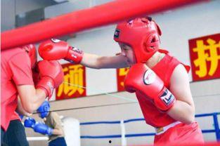 成人拳击魔力球教学视频,高效塑形与趣味训练全攻略