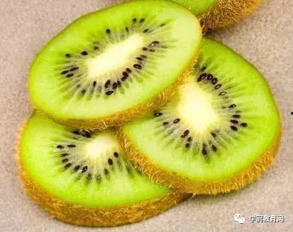 创意黏土手工成人教程视频,跟随黏土手工教程，打造专属艺术作品