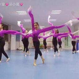 成人古风舞蹈队形视频,成人古风舞蹈队形赏析