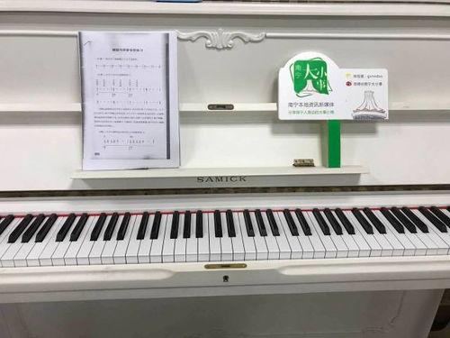 国产成人钢琴组装视频,匠心独运，音韵悠扬