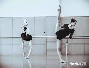 练基本功视频成人,练就卓越人生的秘诀