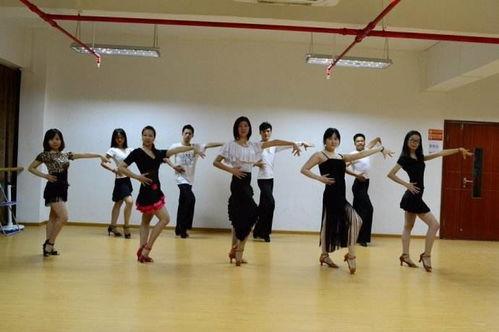 回民成人舞蹈视频大全,视频大全中的民族韵律与风情展现