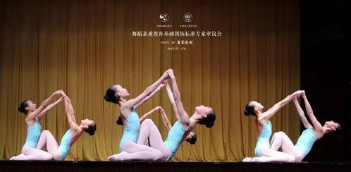 回民成人舞蹈视频大全,视频大全中的民族韵律与风情展现