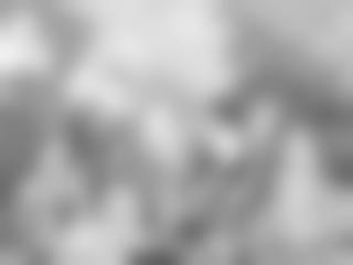 成人完整版组合视频,成人完整版组合视频精华概览