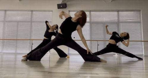 成人舞蹈孙莉视频播放,优雅舞动，魅力绽放