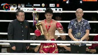 成人私教散打视频大全,成人私教散打实战技巧与训练方法