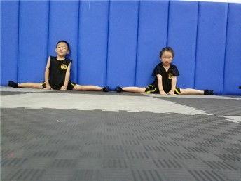 成人私教散打视频大全,成人私教散打实战技巧与训练方法