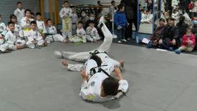 成人私教散打视频大全,成人私教散打实战技巧与训练方法