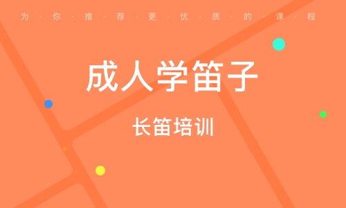 葫芦丝成人课视频,成人学员快速掌握技巧