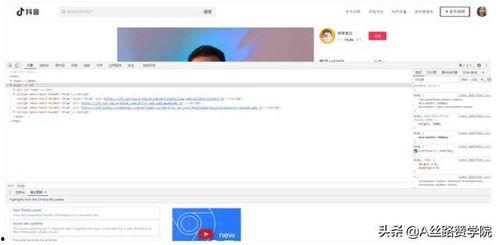 翻身视频成人网页版下载