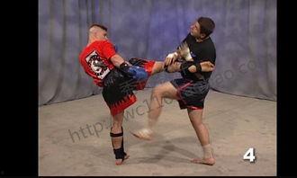 成人防身散打视频教学,成人防身散打视频教程精华汇总