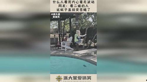 苍蝇蚊子变成人的视频,揭秘昆虫变人的奇幻之旅