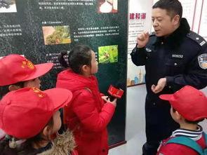 成人普法教育视频全集