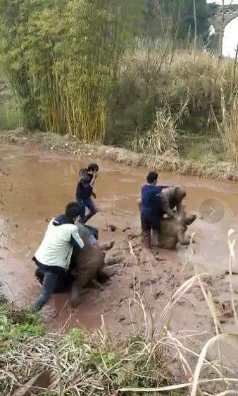 沙子变成人打斗视频大全