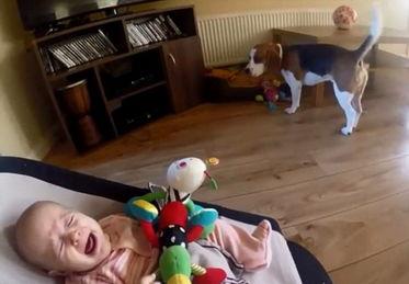 成人睡前安抚玩具视频,成人安抚玩具视频带你进入甜美梦乡