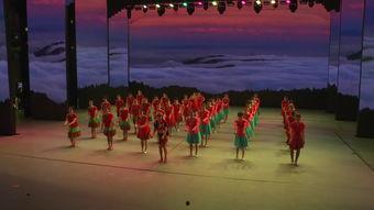 集体成人拍手舞视频大全,欢乐韵律，共享舞蹈时光