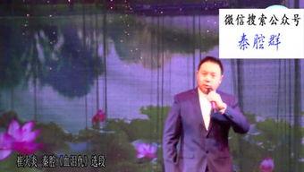 成人唢呐视频大全播放,成人唢呐视频大全视听盛宴