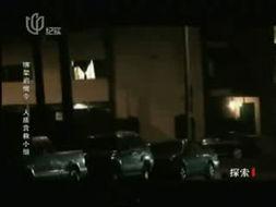 成人宴会绑发视频,跟随视频教程轻松绑发