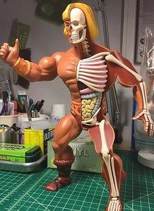 另类成人玩具视频在线,揭秘在线视频中的私密世界